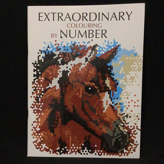 Extraordinary Colouring by Number Book - Animal Collection #1