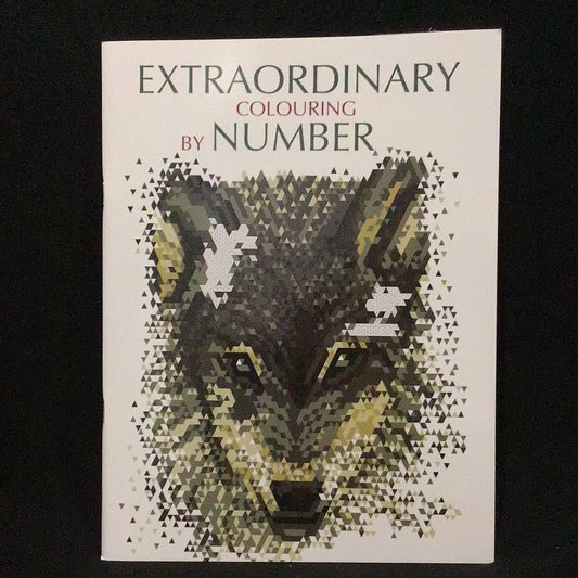 Extraordinary Colouring by Number Book - Animal Collection #2