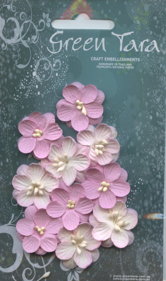 Cherry Blossom Flower - Pink/Pink white - 25mm - 10 pk