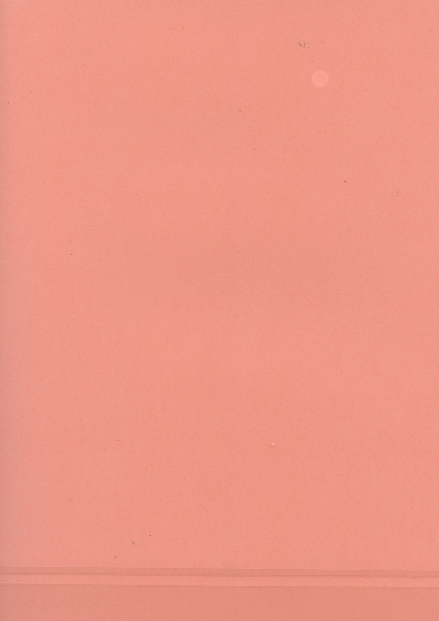 Colour Paper A4 - soft Coral - 25 sheets 80gsm