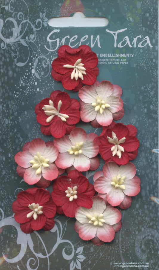 Cherry Blossom Flower - Red/Red white - 25mm - 10 pk