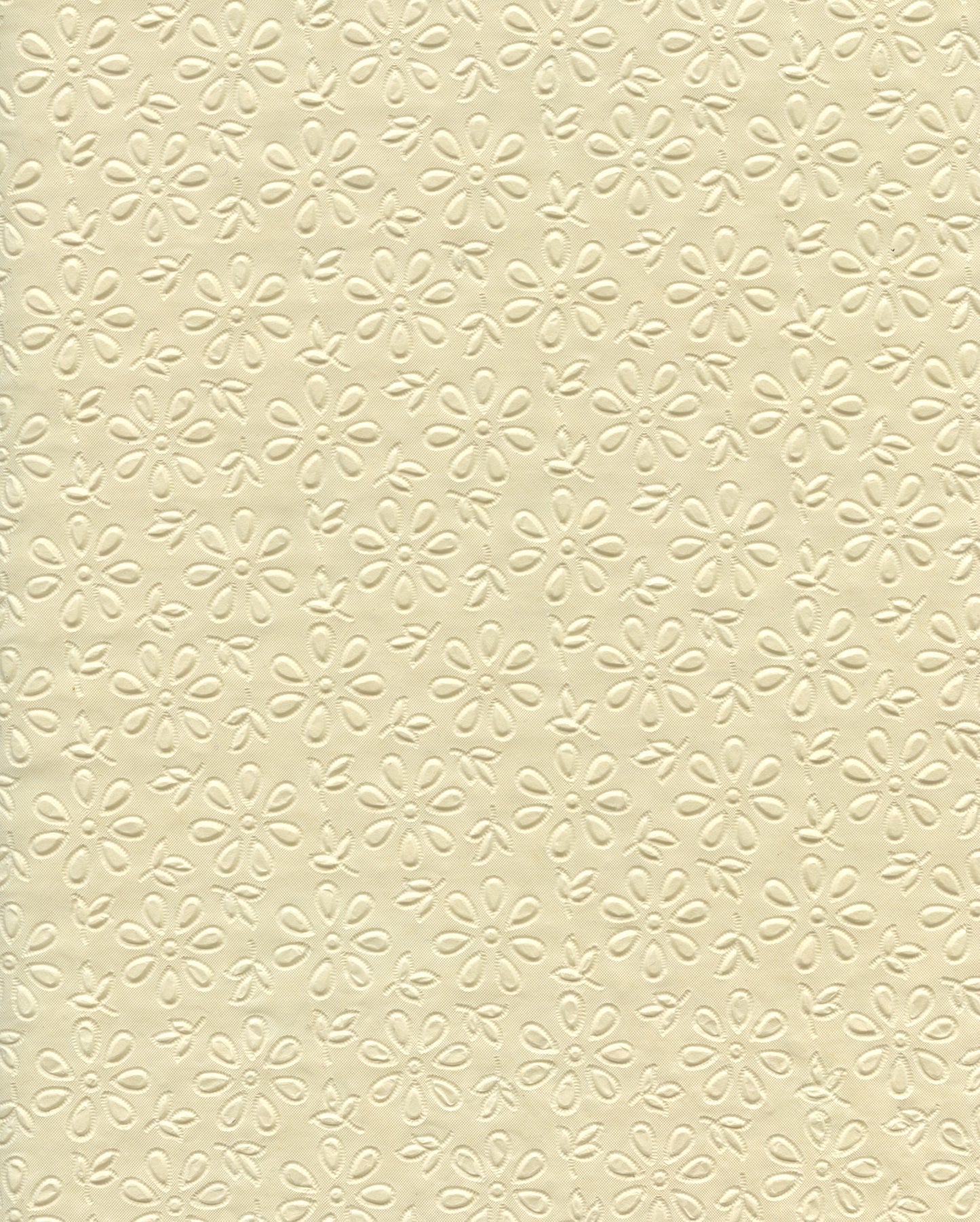 Specialty Paper 1 x  A4 Embossed Daisy - Cream