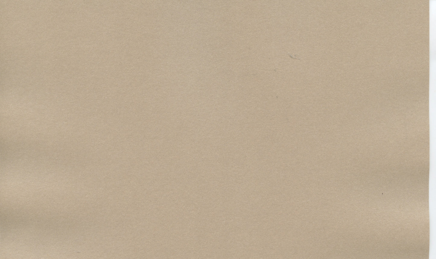 Specialty Paper - A4 Pearl Paper - Bone - 2 Sheets