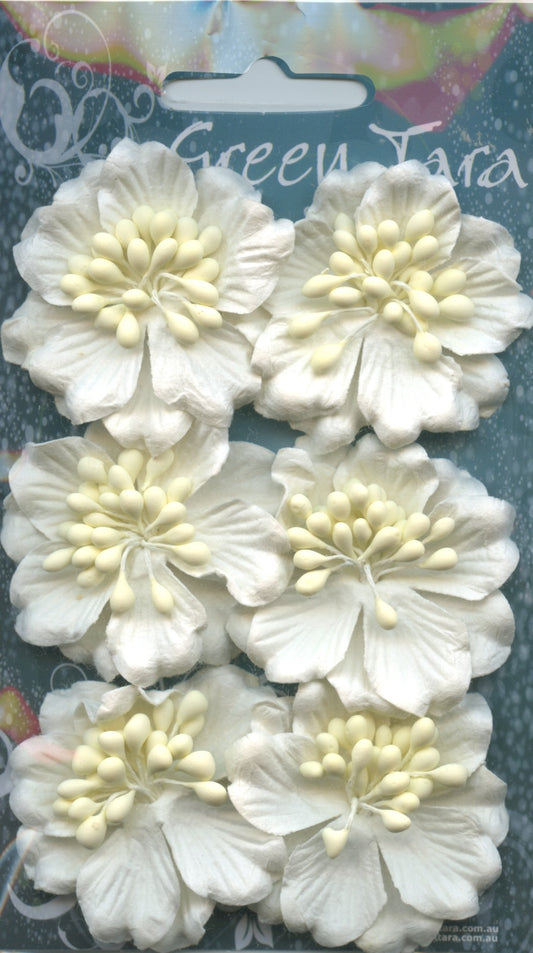 Azaleas - White - 6 pack - 45mm