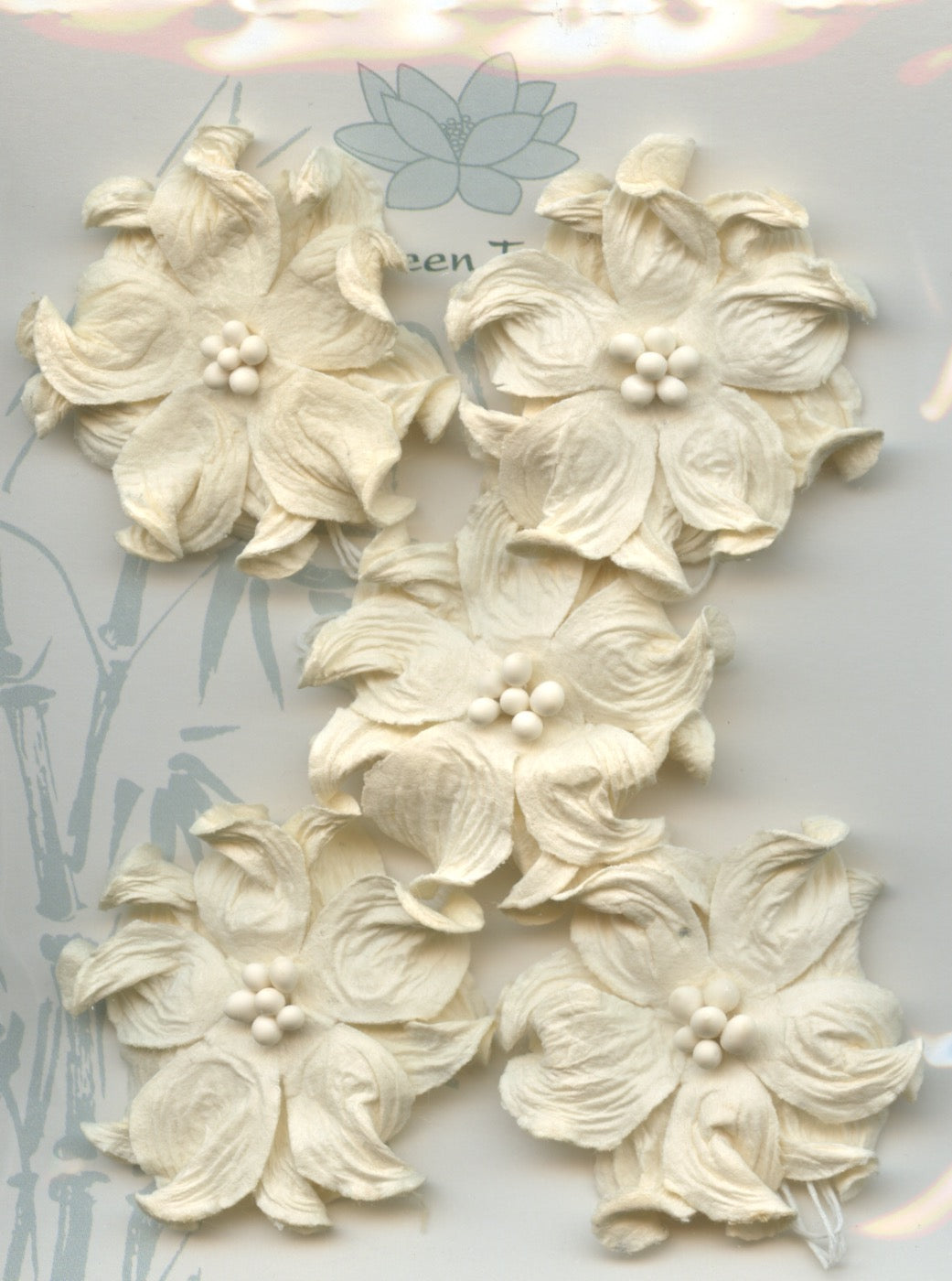 Apple Blossom Flower - Ivory - 40mm - 5 pk