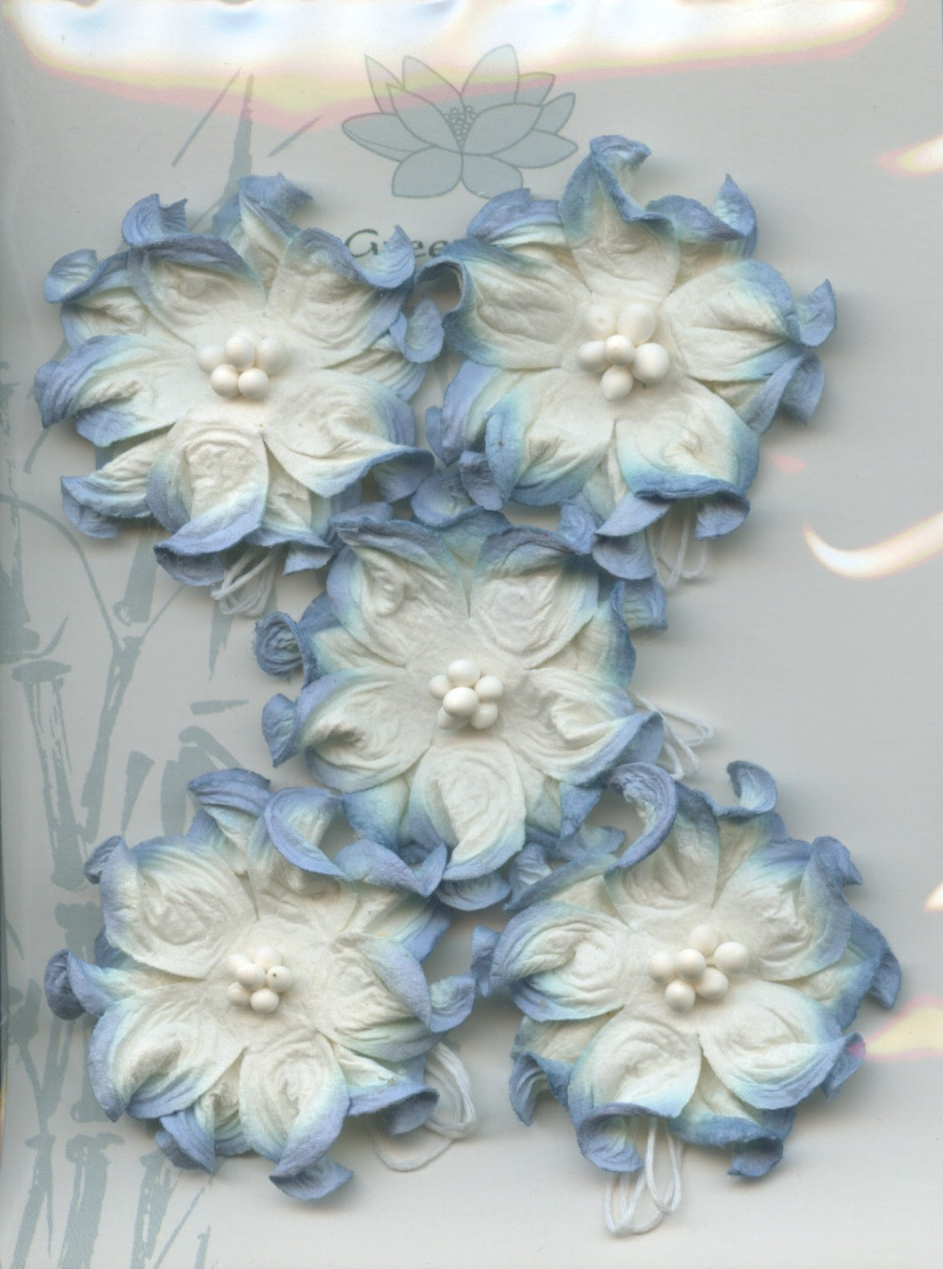 Apple Blossom Flower - Blue/White - 40mm - 5 pk