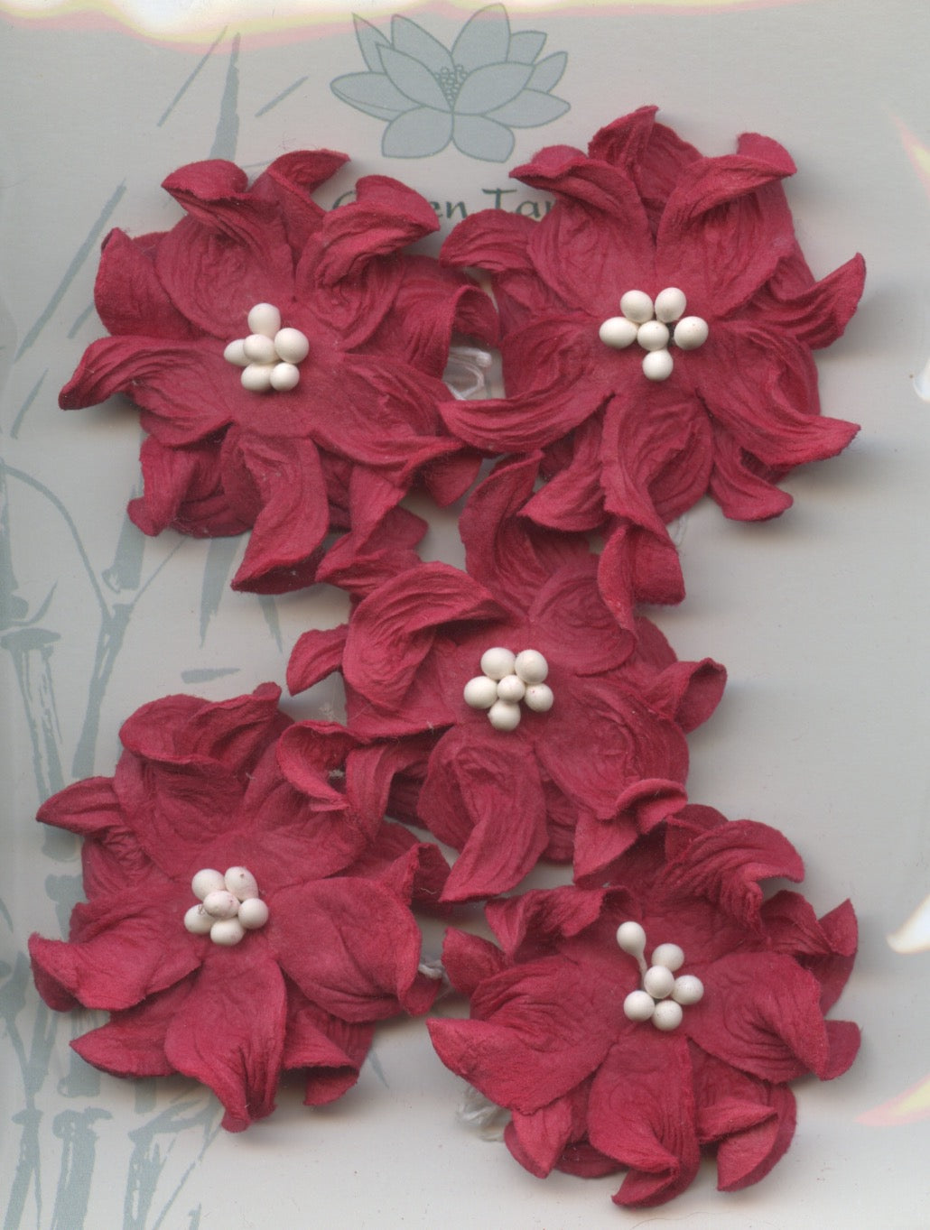 Apple Blossom Flower - Red - 40mm - 5 pk