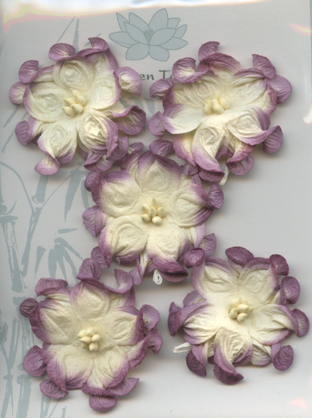 Apple Blossom Flower - Plum/Cream - 40mm - 5 pk