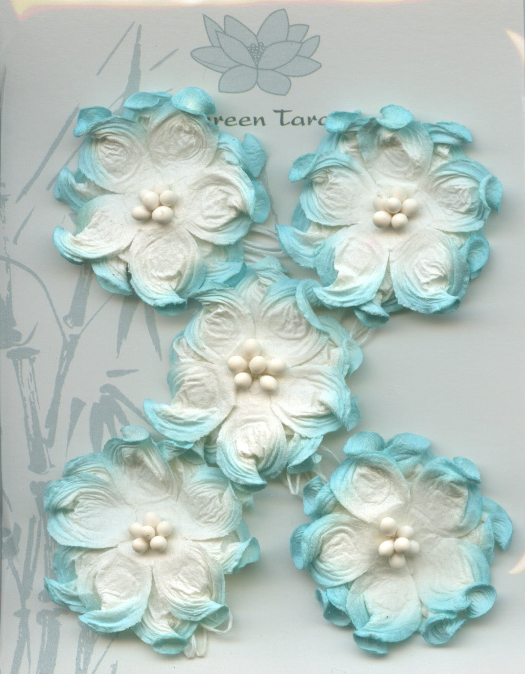 Apple Blossom Flower - Turquoise/White - 40mm - 5 pk