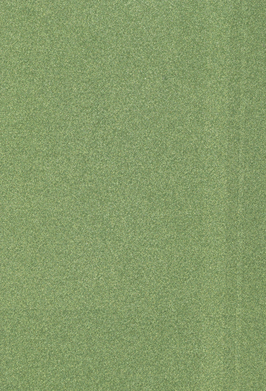 A5 Glitter Paper 2pk - Light Green